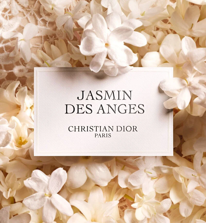 Jasmin des Anges - Image 3