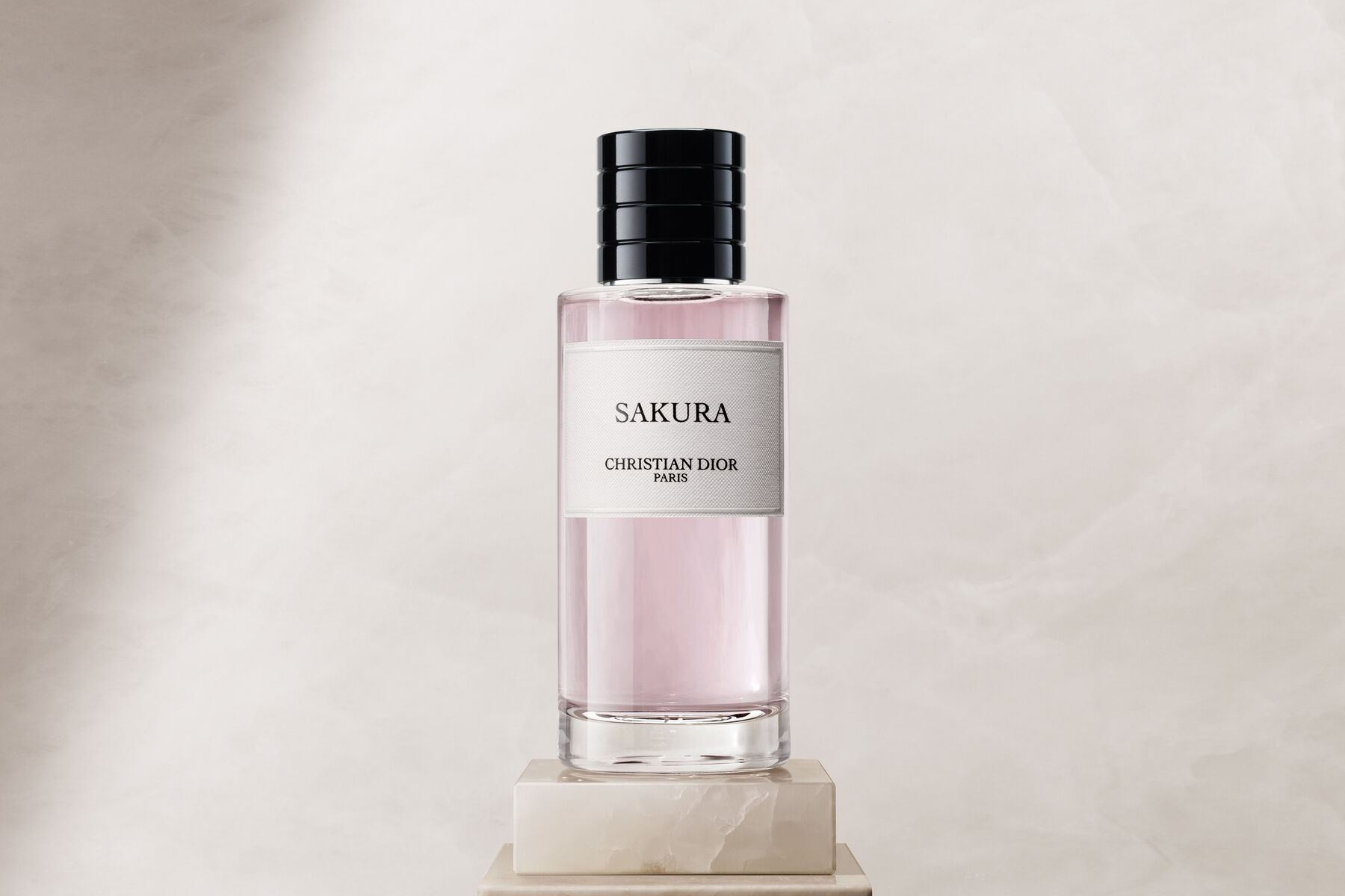 Sakura - Image 5