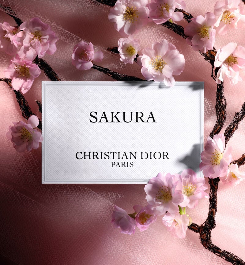 Sakura - Image 4