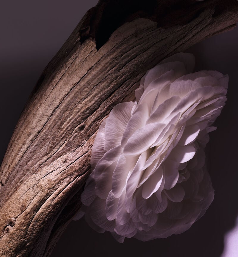 Gris Dior - Image 4