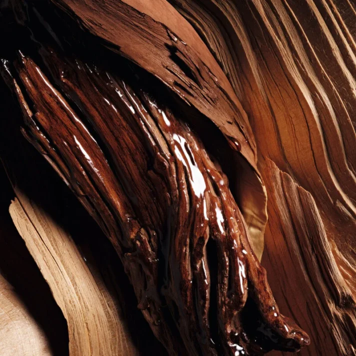 Woody Fragrances