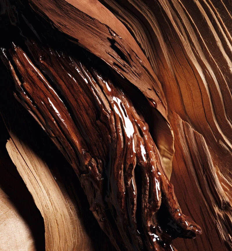 Oud Rosewood - Image 3