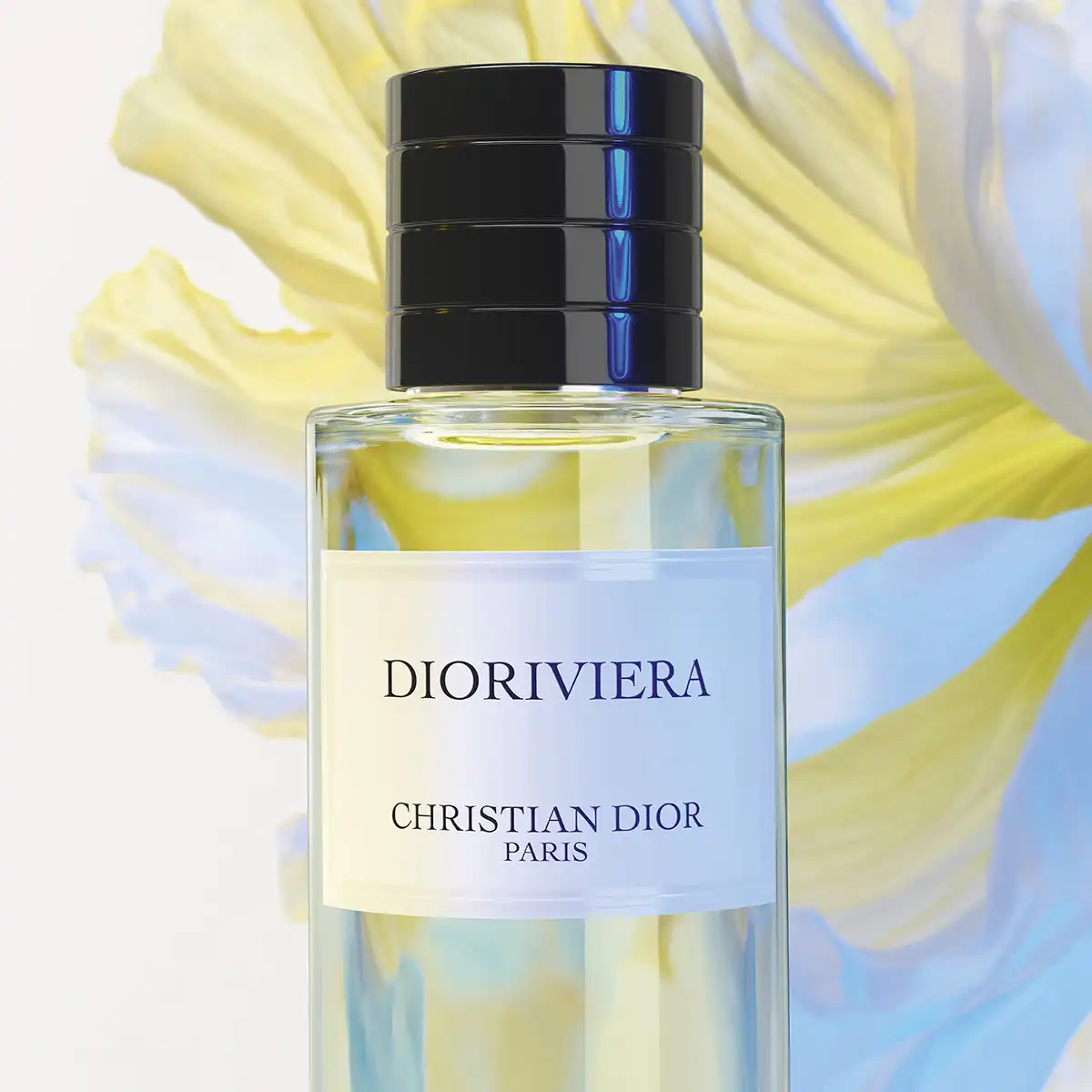 Dioriviera - Image 3