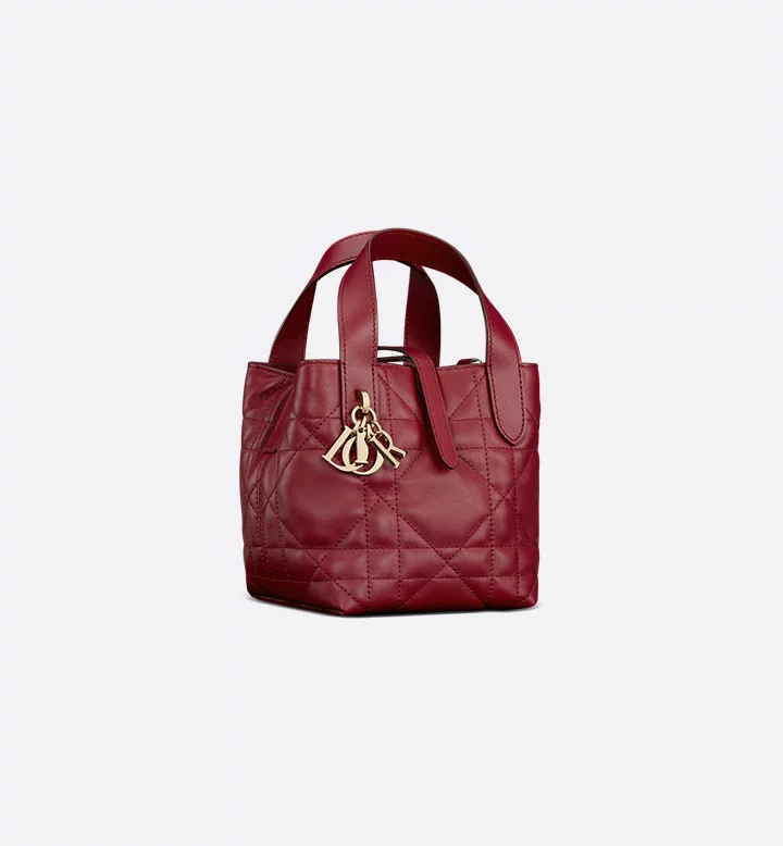 Dior Toujours Vertical Nano Tote Bag - Image 5