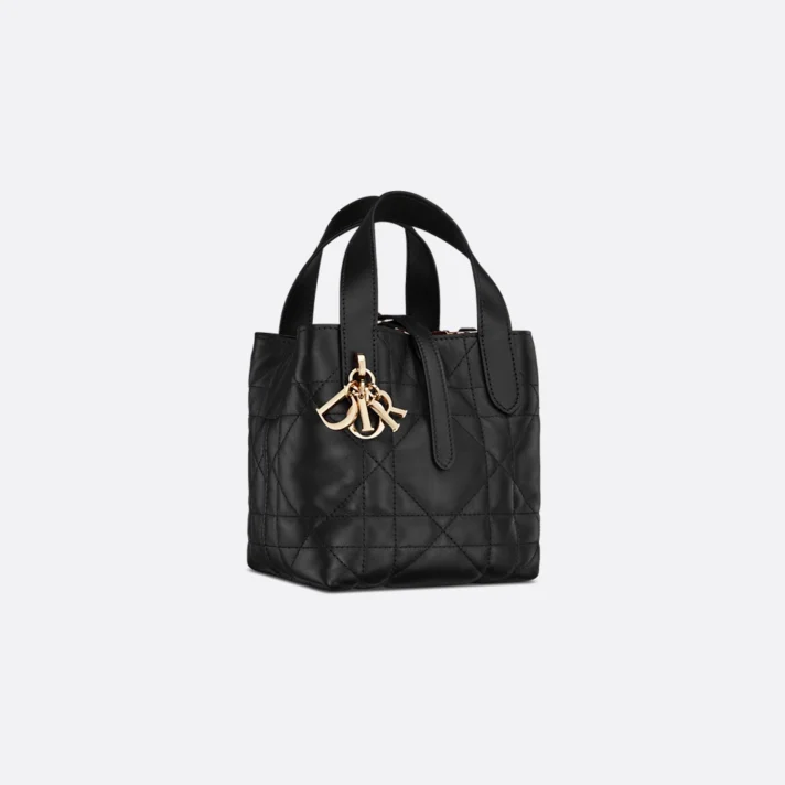 Dior Toujours Vertical Nano Tote Bag
