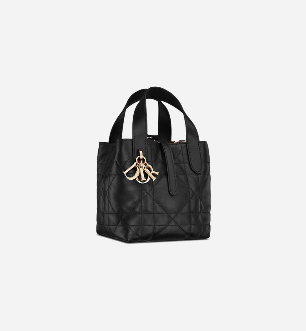 Dior Toujours Vertical Nano Tote Bag