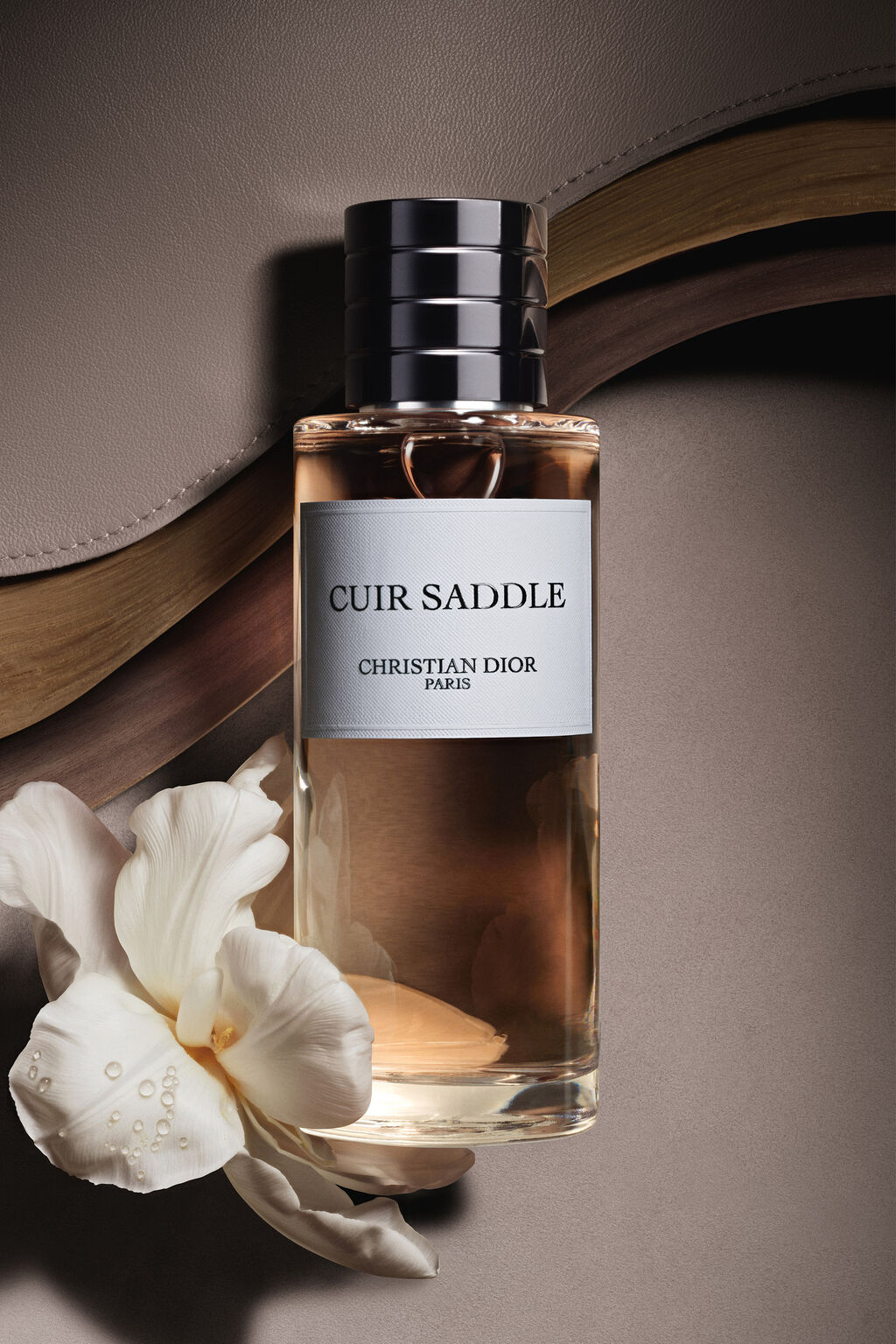 Cuir Saddle - Image 2
